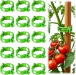 100pcs Tomato Clips for Climbing plants, Plastic Trellis Plant Support Clips for Garden, Reusable Clips for Supporting Grape Tomato Vine and Vegetables Plants to Grow Upright Makes Plants Healthier - Image 2