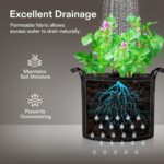 VIVOSUN 5-Pack 5 Gallon Grow Bags Heavy Duty 300G Thickened Nonwoven Plant Fabric Pots with Handles - Image 3