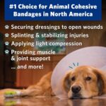 OVIK Health PetFlex No Chew – Flexible Self-Adhering Elastic Bandage for Wound Care – First Aid Wrap for Small Animals Like Dogs, Cats, and Other Pets - 2 inch, 2 Rolls - Image 4