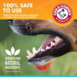 Arm & Hammer for Pets Dog Oral Care Spray, Mint Flavor Breath Freshener with Baking Soda for Brushless Plaque and Tartar Support, Easy Daily Dental Maintenance for Adult Dogs, 4 Fl Oz - Image 4