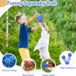 DISSKNIC Indestructible Squeaky Dog Ball, Relieves Anxiety, Cleans Teeth, Interactive Chew Toy for Aggressive Chewers, Dog Toy for Large Breeds, Outdoor Waterproof - Image 5
