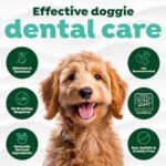 TropiClean Fresh Breath Water Additive for Dogs, Dog Breath Freshener and Teeth Cleaning Solution, No Toothpaste or Toothbrush Required, 33.8oz. - Image 5