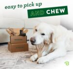 Benebone Medium 4-Pack Dog Toys for Aggressive Chewers – Durable Dog Bones, Made in USA – Dog Toys for Medium Dogs Under 60 lbs - Image 3