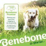 Benebone Medium 4-Pack Dog Toys for Aggressive Chewers – Durable Dog Bones, Made in USA – Dog Toys for Medium Dogs Under 60 lbs - Image 6