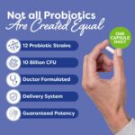 Probulin Daily Care Probiotic Supplement, Digestive, Gut, and Immune Health Support Capsules for Men and Women, 10 Billion CFU, Vegan, 90 Count Bottle - Image 3