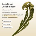 Abib Collagen Peptide Eye Patches for Wrinkles & Fine Line with Jericho Rose Jelly, 60 Count, Korean Skin Care - Image 4