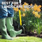 Manual Edger Lawn Tool with 38"-42" Adjustable Length, Saw-Tooth Border Edger with Wide Footplate Manganese Steel Blade, Garden Edging Tool for Flower Beds, Landscaping, Sidewalks, Yard - Image 9