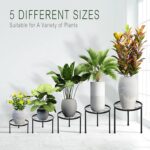 CADANI 5 Pack Metal Plant Stands for Outdoor Indoor, Anti-Rust Iron Flower Pot Stand, Heavy Duty Plant Pot Stand for Multiple Plant, Decoration Racks for Home, Patio & Garden - Image 3