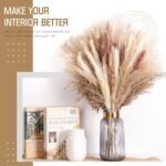 N&T NETING Dried Pampas Grass Decor- White Pampas Grass, Brown Pampas, Bunny Tail, Reed, Fluffy Dried Pompas Grass Flower for Home Wedding Table Vase Boho Modern Decor, 75Pcs - Image 3