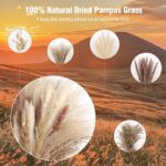 N&T NETING Dried Pampas Grass Decor- White Pampas Grass, Brown Pampas, Bunny Tail, Reed, Fluffy Dried Pompas Grass Flower for Home Wedding Table Vase Boho Modern Decor, 75Pcs - Image 4