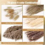 N&T NETING Dried Pampas Grass Decor- White Pampas Grass, Brown Pampas, Bunny Tail, Reed, Fluffy Dried Pompas Grass Flower for Home Wedding Table Vase Boho Modern Decor, 75Pcs - Image 5