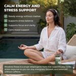 Rhodiola Rosea Supplement – Golden Root Adaptogen Capsules - Rhodiola Rosea Extract Powder Alternative with Salidroside for Stress Support - Energy, Focus & Performance - Image 3