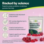 BoochBod - Probiotic Kombucha Gummy - Prebiotics, Probiotics, Postbiotics, Fiber Supplement, Slippery Elm, Dandelion Root, MCT Oil, for Bloating, Gut Health - Probiotics for Women and Men - Image 3