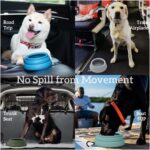 OHMO Spill Proof Collapsible Dog Water Bowl 24oz for Cars, No Splash Portable Bowls for Dog Travel, Dishwasher Safe, Pet Essentials for Road Trips, Cat Travel Accessories - Image 4