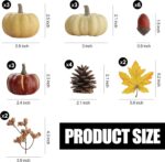 Artgar Pumpkin Decor Set, 23 PCS Fall Harvest Decorations Including Mini Pumpkins, Acorns, Pinecones, Berries, Maple Leaves for Home Table Wedding DIY Fall Halloween Thanksgiving Decor - Image 3