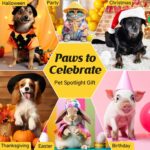 Dog Nail Polish Pens Quick Dry,12 Colors Safe Dog Nail Polish Set to DIY Pretty Nails, Ideal Gifts for Dogs Cats Light Dark Nails, Odorless, Non-Toxic, Water-Based Pet Nail Accessories Set - Image 6