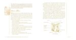 Organic Body Care Recipes: 175 Homemade Herbal Formulas for Glowing Skin & a Vibrant Self - Image 4