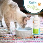 Oxyfresh Premium Pet Dental Care Solution Pet Water Additive: Best Way to Eliminate Bad Dog Breath and Cat Bad Breath - Fights Tartar & Plaque - So Easy, Just Add to Water! Vet Recommended 16 oz. - Image 5