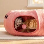 Cat Tunnel Bed with 20 Cat Toys, Collapsible Play Tunnel for Indoor Cats, Kitten Toys for Indoor Kittens, Octopus Shaped - Image 3