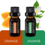 Pure Daily Care Aromatherapy Top 10 Essential Oil Set – Therapeutic Grade Single Ingredient Oils – Uplift Mind, Body and Spirit – 10 x 10 Ml Bottles – No Fillers & No Additives - Image 5