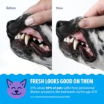 Dental Fresh Water Additive for Dogs and Cats, Clean Teeth and Fresh Breath, Daily Pet Oral Care Just Add to Water, Flavorless, 8 fl oz - Image 5