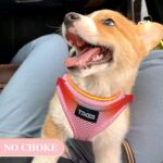 YIMEIS Dog Harness and Leash Set, No Pull Soft Mesh Pet Harness, Reflective Adjustable Puppy Vest for Small Medium Large Dogs, Cats (Pink, X-Small (Pack of 1) - Image 3