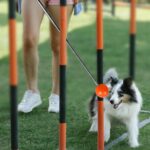 Training Kit - 1 Target Stick, 1 Training Clicker, 1 Whistle - Dog Training Equipment Tools, Cat Toilet Trainer Kit, Agility Training Lure Course For Dogs, Kitten Puppy Behavior Aids Trick (B Type) - Image 5