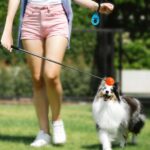 Training Kit - 1 Target Stick, 1 Training Clicker, 1 Whistle - Dog Training Equipment Tools, Cat Toilet Trainer Kit, Agility Training Lure Course For Dogs, Kitten Puppy Behavior Aids Trick (B Type) - Image 6
