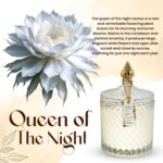 VIONAMI Luxury Scented Candle Gift – Queen of The Night Rare Flower Fragrance in Elegant Glass Jar, Decorative Soy Candles Gifts for Women, Long-Lasting 80 Hr, 14.8 oz, Luxury Candles for Women - Image 3