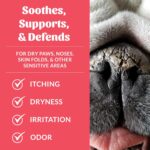SKOUT'S HONOR Prebiotic Pet Balm - 100% Natural and Made with Manuka Honey to Promote Healing of Your Pet's Paw Pads and Nose, Soothes Dry, Itchy Paws and Noses - Safe for Cats and Dogs, 2oz - Image 4
