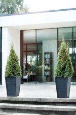 Keter Set of 2 Resin Modern Outdoor 22 Inch Tall Large Flower Pots, Tapered Wood Look Planters for Outdoor Plants and Front Porch Decor, Graphite - Image 4