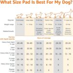 Amazon Basics Heavy Duty Dog and Puppy Pee Pads, Leak-Proof 5-Layer Super Absorbent, Quick-Dry Surface for Potty Training, Regular Size, 24x23", Blue & White, 50 Count - Image 5