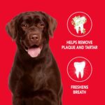 Petrodex Toothpaste for Dogs and Puppies, Cleans Teeth and Fights Bad Breath, Reduces Plaque and Tartar Formation, Enzymatic Toothpaste, Peanut Flavor, 2.5oz - Image 3