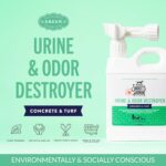 SKOUT'S HONOR Pet Urine & Odor Destroyer Concrete & Turf - Professional Strength, Plant-Powered, Cruelty-Free Urine Eliminator for Concrete, Turf, and Outdoor Living Spaces 32 oz. - Image 3