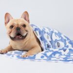 1 Pack 3 Blankets Super Soft Fluffy Premium Cute Elephant Pattern Pet Blanket Flannel Throw for Dog Puppy Cat Blue/Pink/Yellow Small(23x16 inch) - Image 5