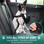 COOYOO Dog Seat Belt,3 Piece Set Retractable Dog Car Harness Adjustable Dog Seat Belt for Vehicle Nylon Pet Safety Seat Belts Heavy Duty & Elastic - Image 3