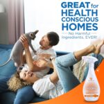 POOPH Kitty Spray - Odor Eliminator, 32oz - Dismantles Odors on a Molecular Basis, Cats, Freshener, Eliminator, Urine, Poop, Pee, Deodorizer, Fresh, Clean, Furniture, Potty, Safe - 2 Pack - Image 5