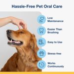 ProDen PlaqueOff Powder for Pets - Cat & Dog Breath Freshener - Plaque & Tartar Remover for Pet Oral Care - 60g - Image 6