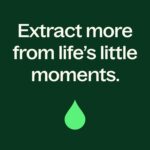Plant Therapy Muscle Aid Body Lotion with Aloe & Shea 8 oz Soothes Achy & Tight Muscles, Instant Cooling Relief, Creamy & Nourishing, Powered by Pure Essential Oils - Image 9