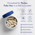 Routine Wellness Hair Growth Supplement – CLINICALLY Tested Thicker, Fuller-Looking Hair Support with Biotin & Key Nutrients, Vegetarian & Gluten-Free Vitamins - 2 Bottles, 60 Day Supply - Image 4