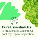 Plant Therapy Gut Aid Essential Oil Blend Roll-On 10 mL (1/3 oz) 100% Pure, Pre-Diluted Roll-On, Supports Healthy Digestion, Ready for Topical Application - Image 5