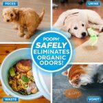 Pooph Pet Odor Eliminator, 32oz - Eliminates Odors at the Molecular Level, Dogs, Cats, Freshener, Eliminator, Urine, Poop, Pee, Deodorizer, Nature’s, Puppy, Fresh, Clean, Furniture, Potty - Image 4