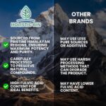 Holistic Bin Shilajit Resin - Himalayan Fulvic & Trace - Black Platinum Resin - Shilajit Extract - Mix Into Liquids - Serving Spoon Included - 10g - Image 3