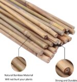 GAGINANG Plant Stakes Natural Garden Bamboo Sticks for Indoor and Outdoor, 20pcs for Tomatoes, Beans, Potted Plants - 18 inches - Image 4
