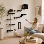 Modern Wall-Mounted Cat Furniture - 5pcs Cat Wall Shelves, Wooden Climber Includes House, Bridge, Tree, Steps, and Scratcher (Black) - Image 5