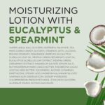 Dr Teal's 24 Hour Moisture+ Body Lotion, Eucalyptus & Spearmint & Essential Oils, 18 fl oz (Pack of 3) - Image 4