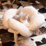 CHEERHOME PETS Elevated Cat Bed Wooden with Cushion Fluffy Pet Couch Sofa for Indoor Cats Raised Kitty Lounge Chair Suitable for Puppy, Cat Furniture(White) - Image 4