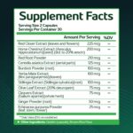 Plant-Based Lymphatic Support Supplement with Red Clover, Horse Chestnut & Burdock Root for Fluid Balance & Daily Wellness - Non-GMO, Made in USA - 30-Day Supply, 1 Bottle - Image 3
