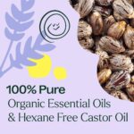 Plant Therapy Organic Lavender & Frankincense Castor Body Oil Roll-On 30 mL (1 oz) Soothes Dryness, and Skin Irritation, Calming Aroma, Relaxation, Pure, Organic Formula, Healing Benefits - Image 3