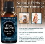 Natural Riches Five Guards Essential Oil Blend for Health Shield Aromatherapy with Clove Cinnamon Lemon Rosemary Eucalyptus Oil - 30ml - Image 4